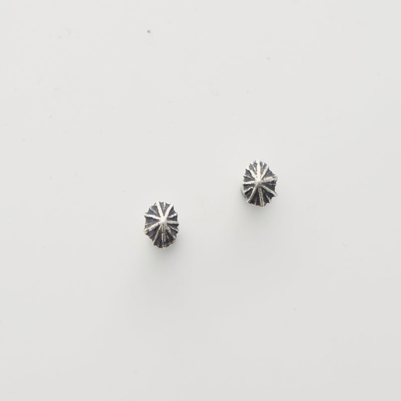 Limpet Studs